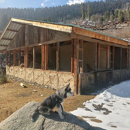 Trimounts-A Boutique Hotel & Wellnes Center In Tirthan Valley Banjār 외부 사진