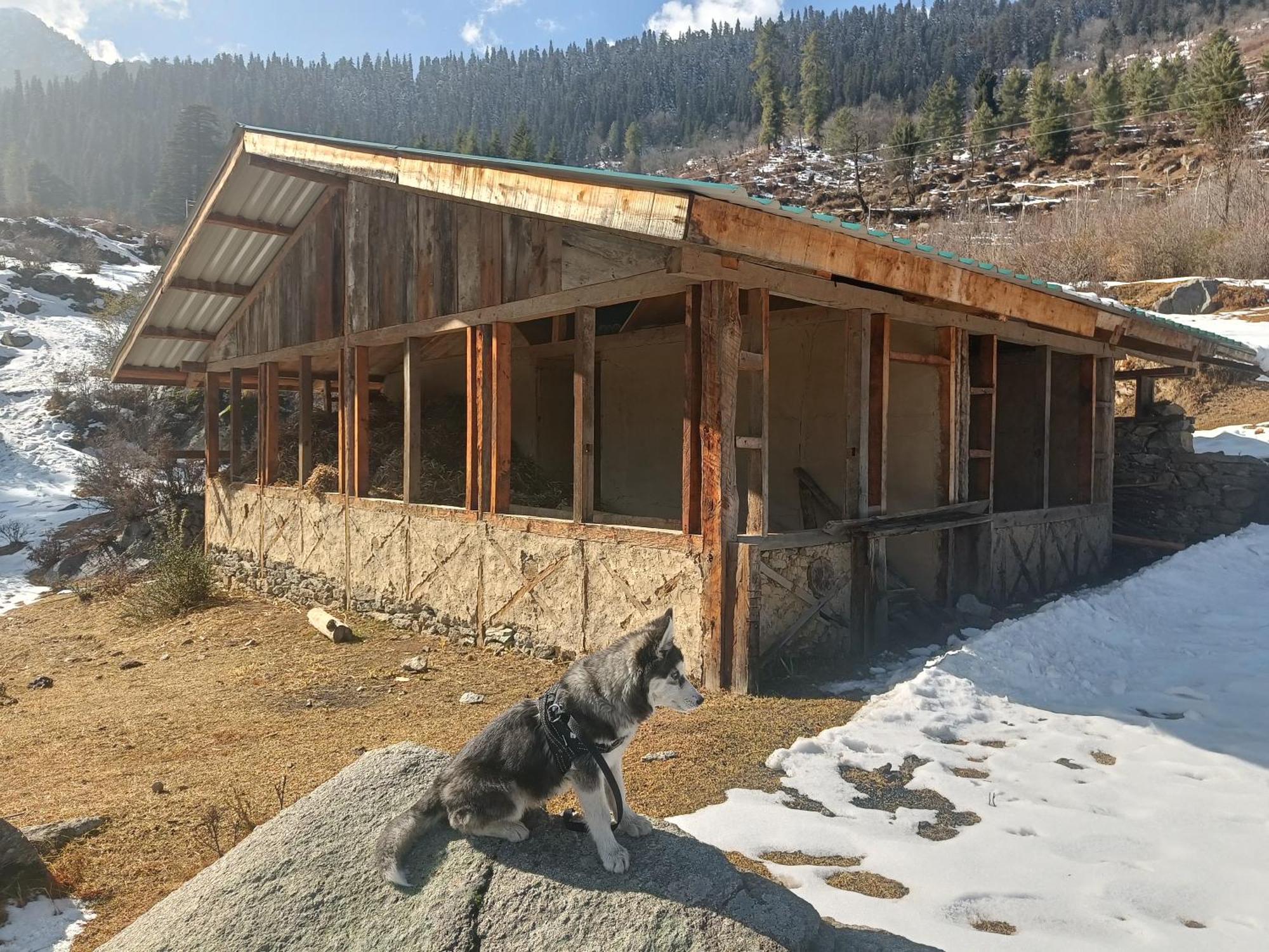 Trimounts-A Boutique Hotel & Wellnes Center In Tirthan Valley Banjār 외부 사진