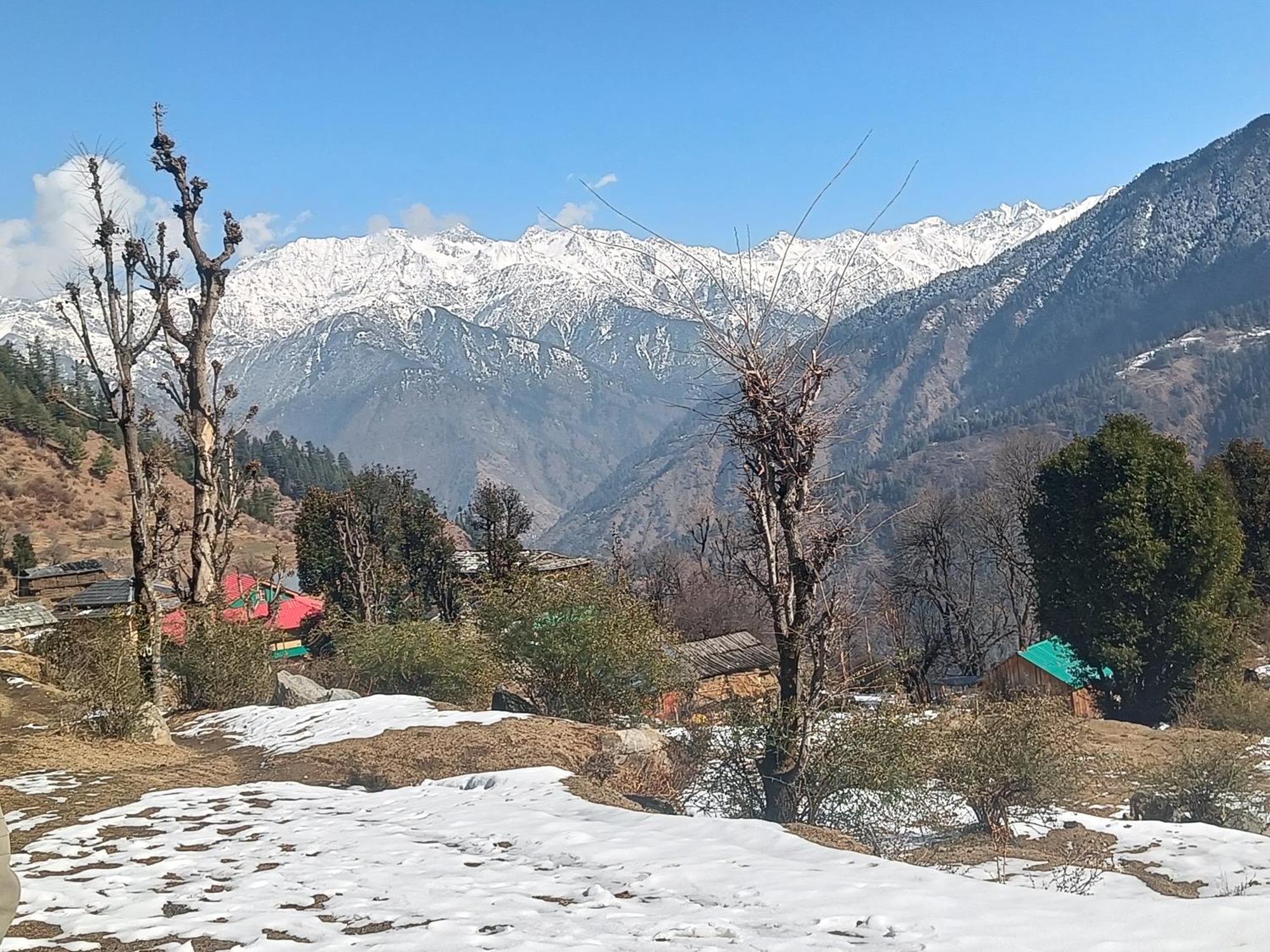 Trimounts-A Boutique Hotel & Wellnes Center In Tirthan Valley Banjār 외부 사진