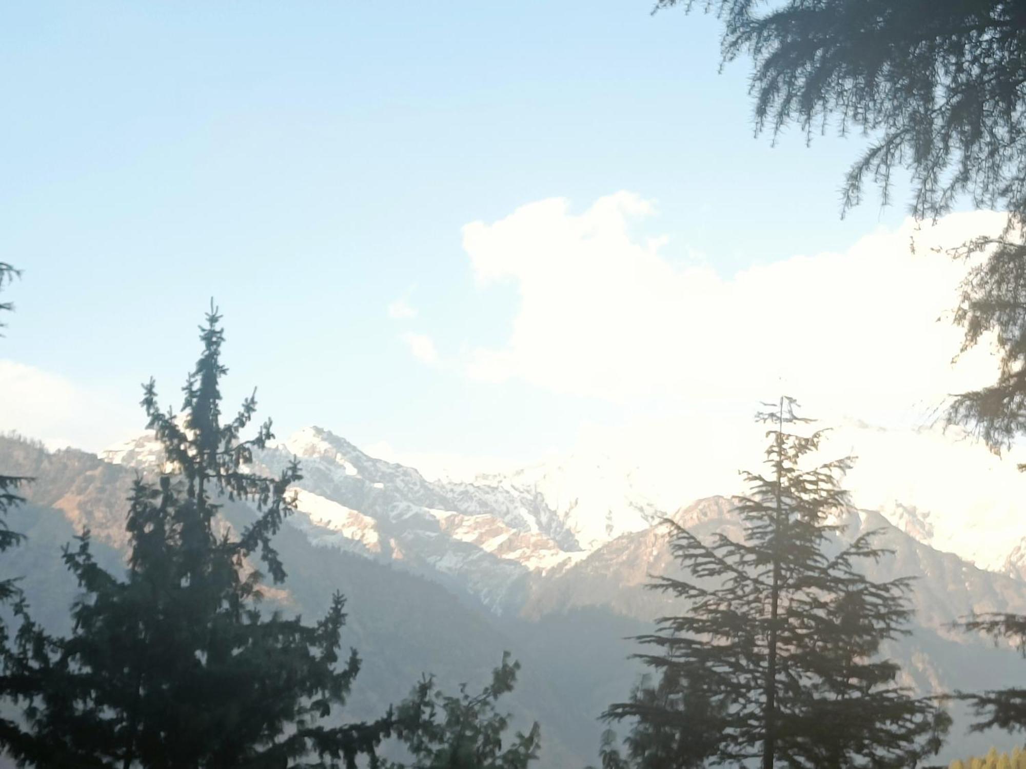 Trimounts-A Boutique Hotel & Wellnes Center In Tirthan Valley Banjār 외부 사진