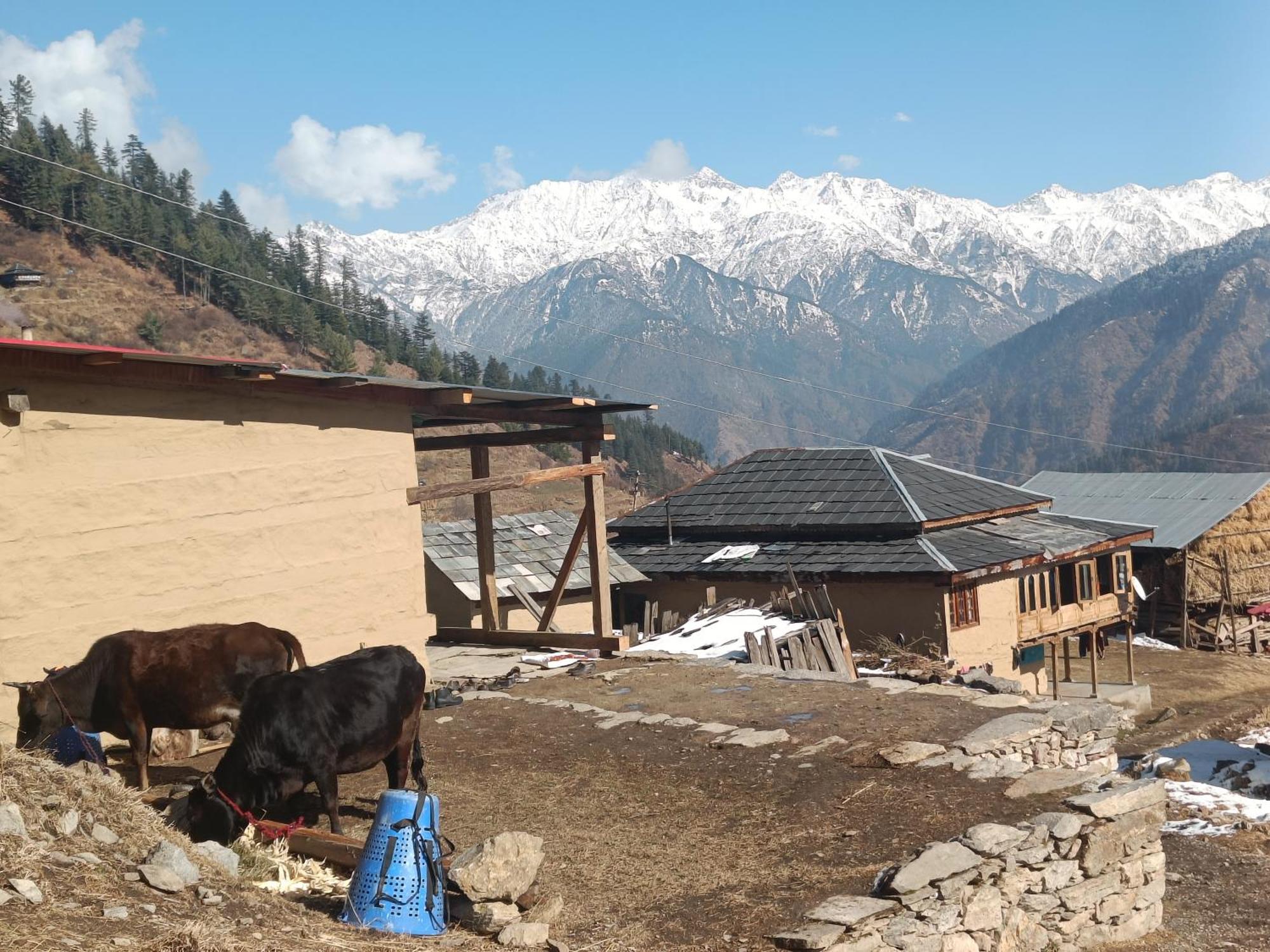 Trimounts-A Boutique Hotel & Wellnes Center In Tirthan Valley Banjār 외부 사진