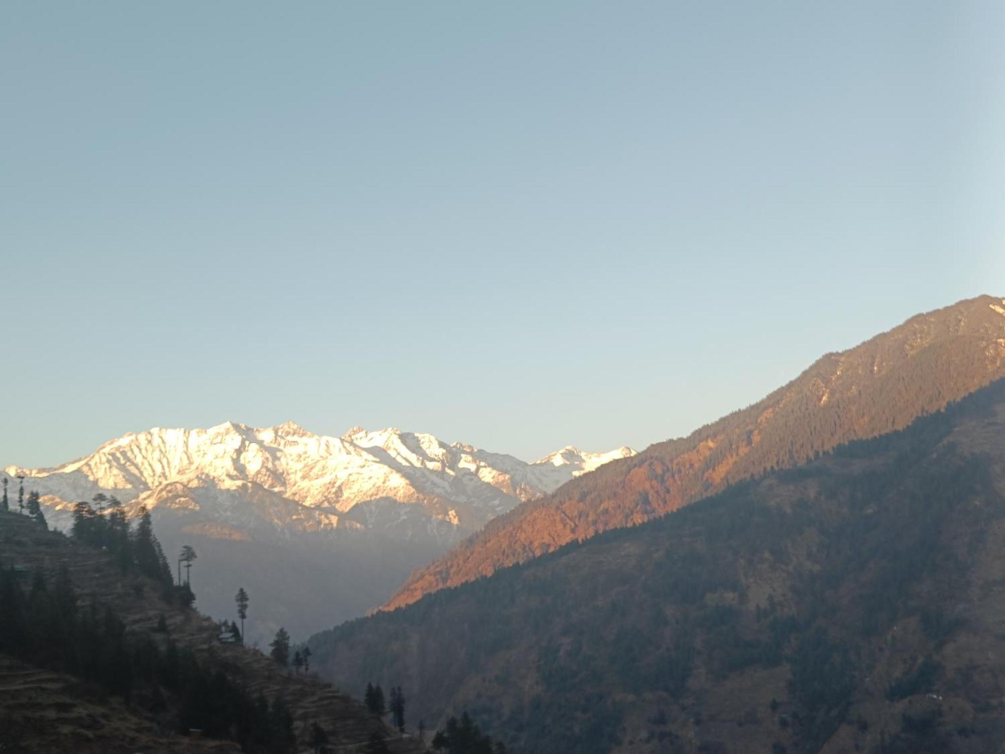 Trimounts-A Boutique Hotel & Wellnes Center In Tirthan Valley Banjār 외부 사진